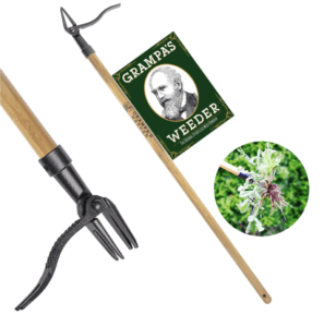 best father's day gifts according to dads - grampa's weeder tool